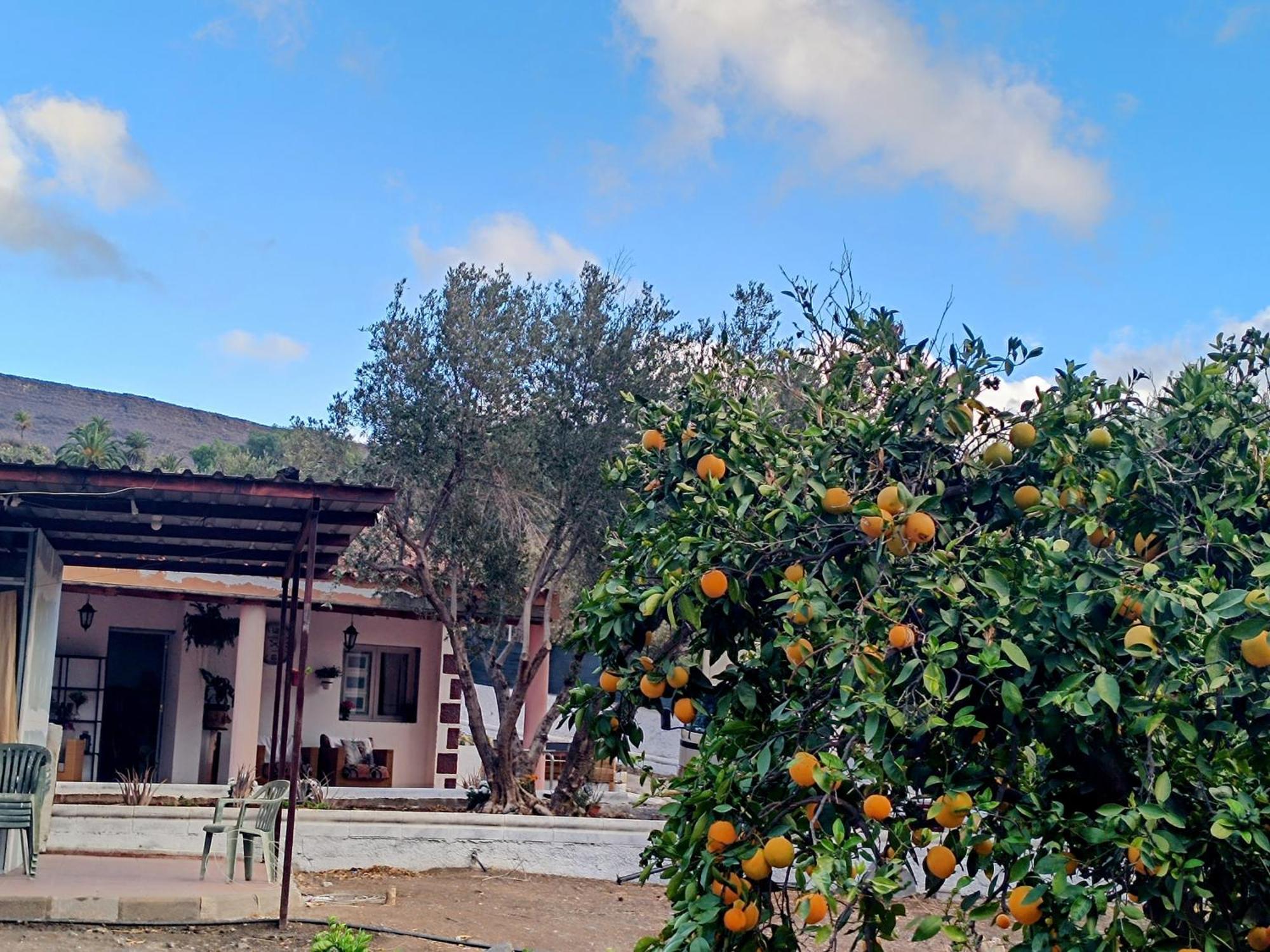 La Casa De La Pradera Villa Santa Lucia Eksteriør billede