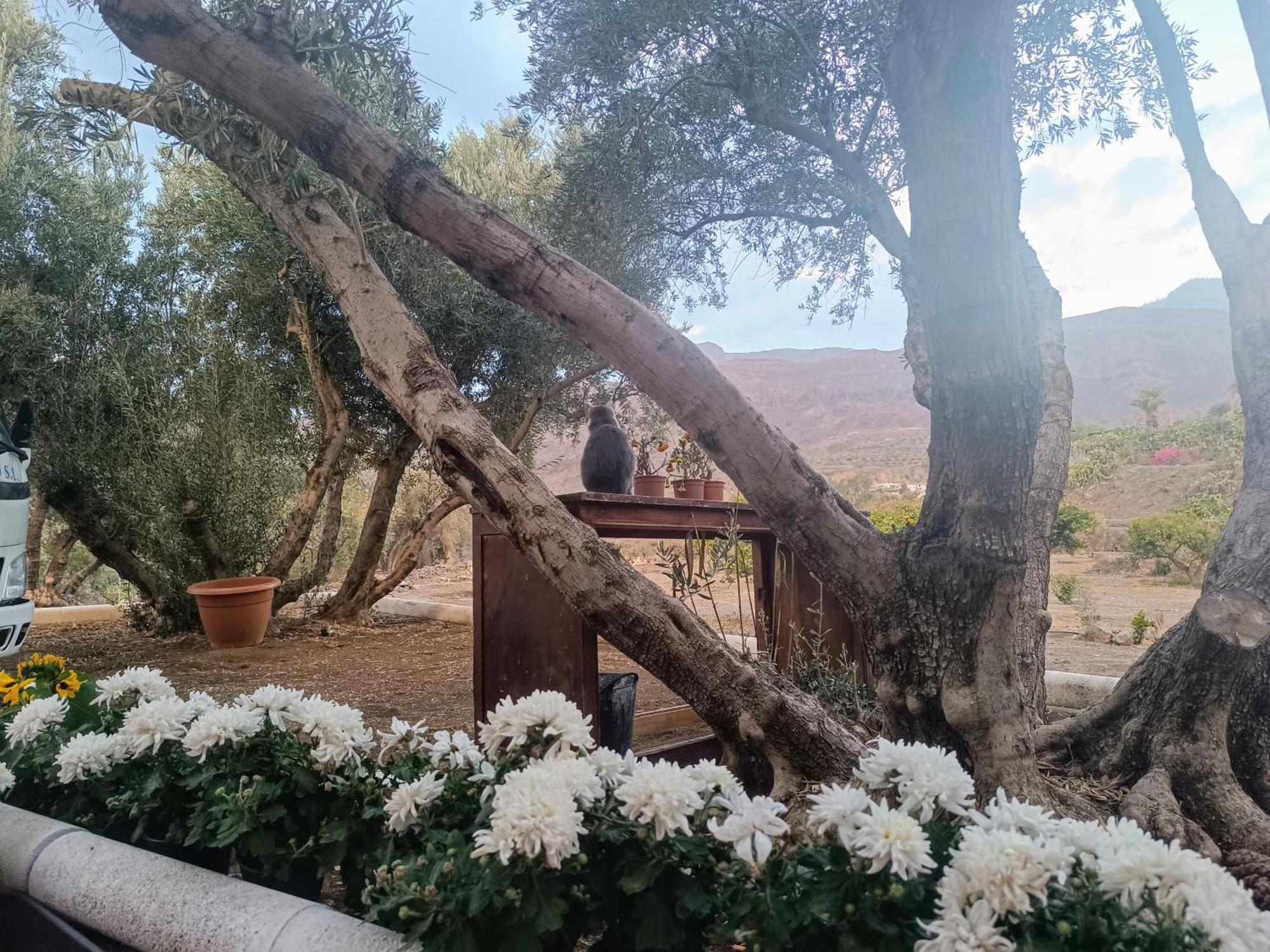 La Casa De La Pradera Villa Santa Lucia Eksteriør billede